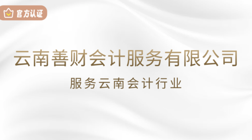 云南善财会计服务有限公司.png