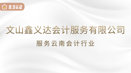 文山鑫义达会计服务有限公司.png