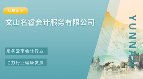 文山名睿会计服务有限公司.png