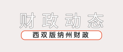 西双版纳州财政.png