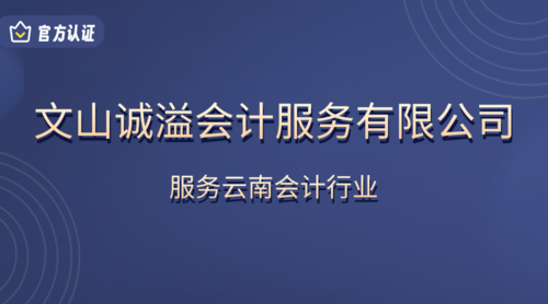 文山诚溢会计服务有限公司.png