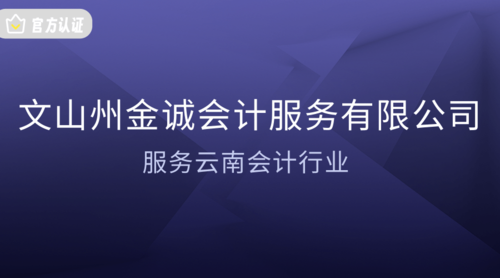 文山州金诚会计服务有限公司.png