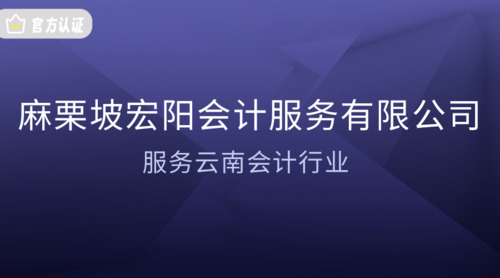 麻栗坡宏阳会计服务有限公司.png